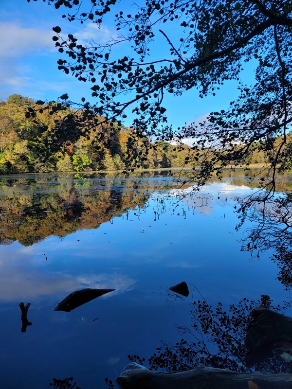 Picture of a lake