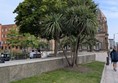 image of grass and trees