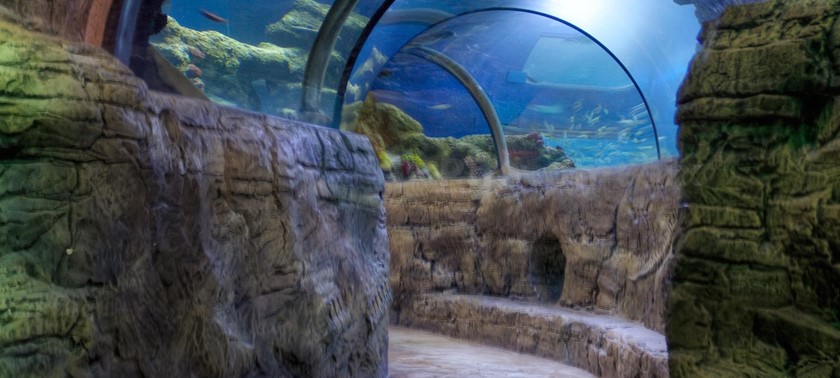 SEA LIFE London Aquarium with disabled access - Euan's Guide