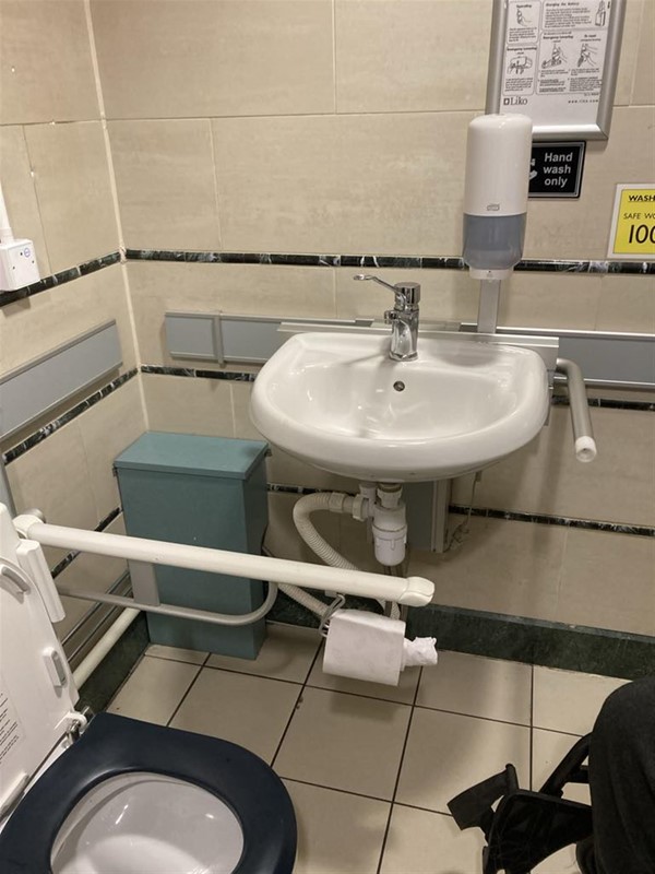 Image of an accessible toilet and a sink