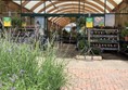 Picture of Dobbies Garden Centre Aylesbury