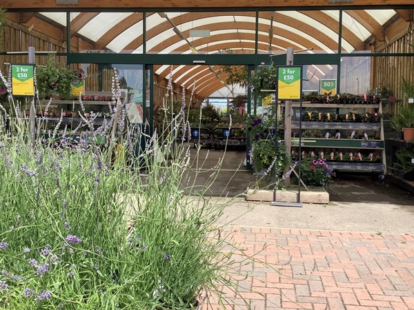 Picture of Dobbies Garden Centre Aylesbury