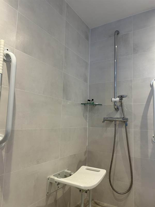 Image of an accessible toilet.