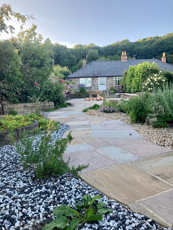 The lovely garden full of herbs and scented plants such as roses
