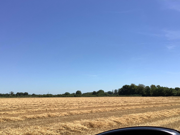 Field
