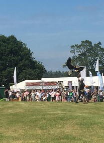 Scottish Game Fair at Scone Palace