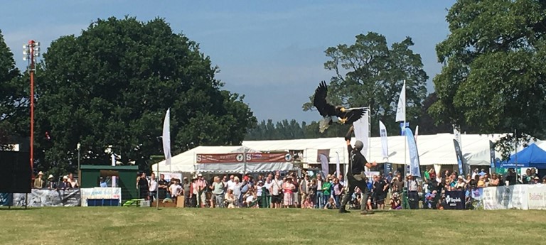 Scottish Game Fair at Scone Palace