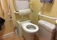 Accessible loo. Aside of the photograph underneath the pull-down baby changing table is a big clinical waste bin.
Plenty of grab rails and food clean and tidy.
I added a Red Cord Card when I left.