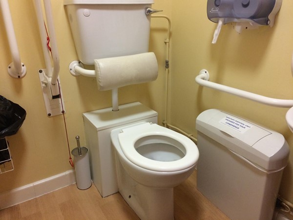 Accessible loo. Aside of the photograph underneath the pull-down baby changing table is a big clinical waste bin.
Plenty of grab rails and food clean and tidy.
I added a Red Cord Card when I left.