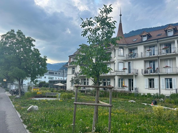 This photo shows the frontage of the hotel but our rooms were in a new extension to the rear. We liked the wild flower garden at the front of the hotel with every flower bed in town in full bloom.