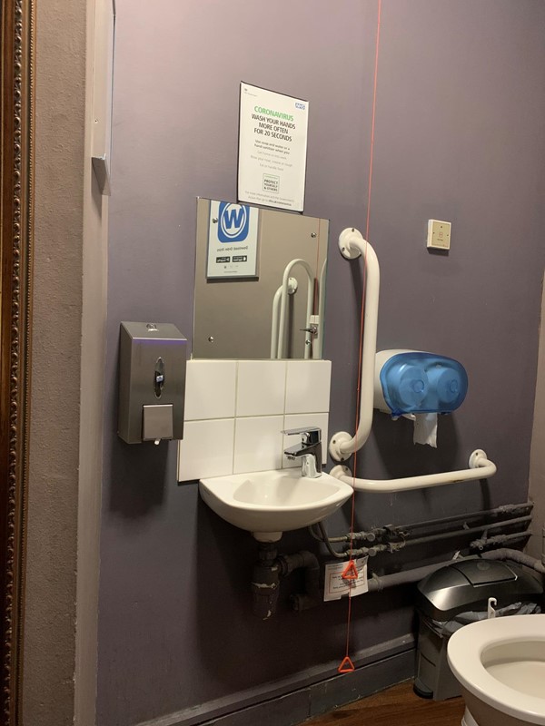 View of sink, handrails and red cord