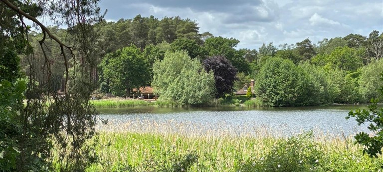 Frensham Little Pond