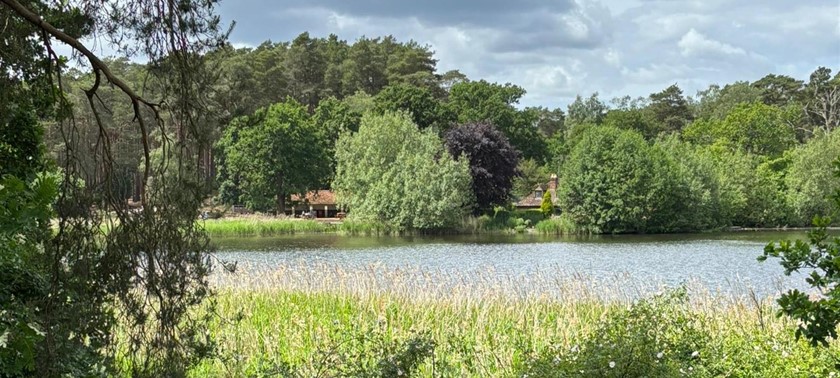 Frensham Little Pond