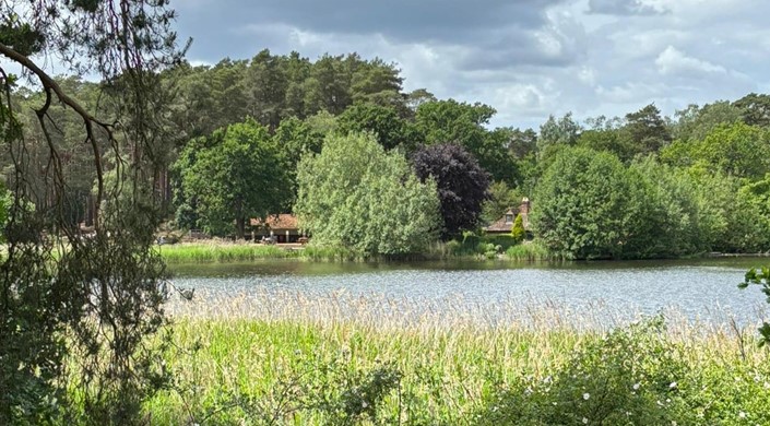 Frensham Little Pond