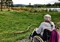 Photo shows a lady in a wheelchair looking out on to the meadow section of the park with the lake to her right. We were still on a hard packed path at this point.