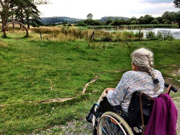 Photo shows a lady in a wheelchair looking out on to the meadow section of the park with the lake to her right. We were still on a hard packed path at this point.