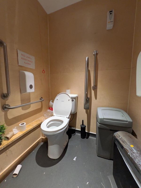 Image of accessible toilet, there are rails on either side. There is a bin in the transfer space