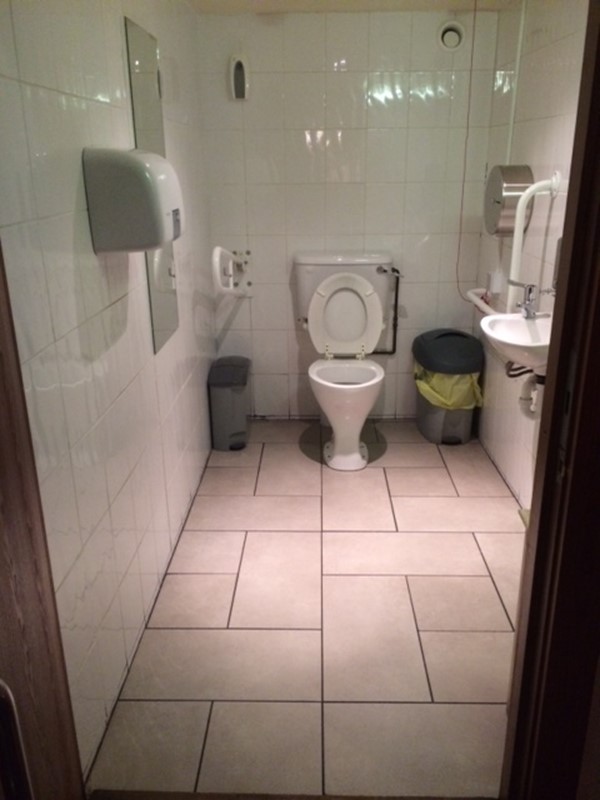 Picture of the Granary Leith - Accessible toilet