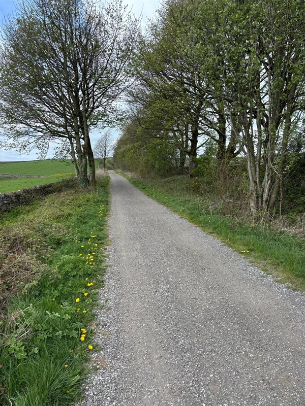 Image of a pathway