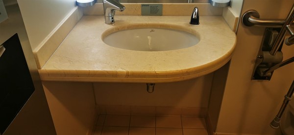 Overlarge toilet sink in accessible bathroom