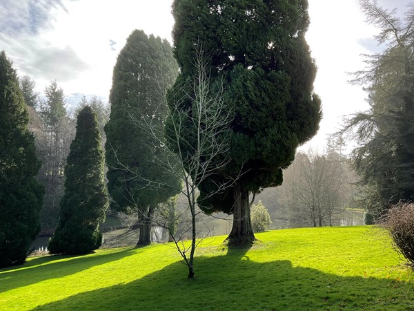 Well tended grassy slopes