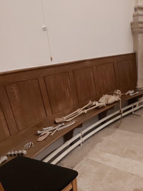 Plastic skeleton on bench