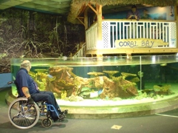 Picture of the Blue Planet Aquarium - Coral Bay