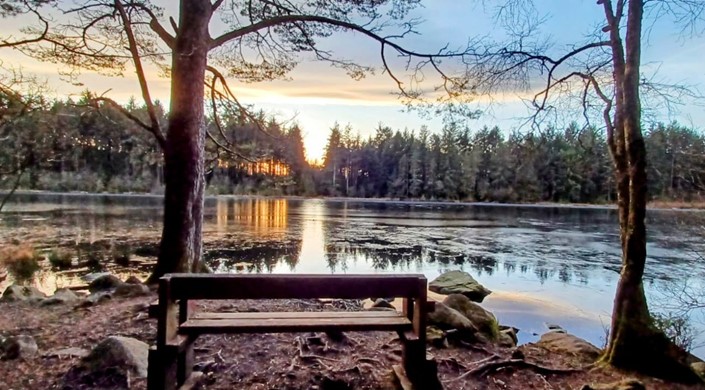 Dalbeattie Forest