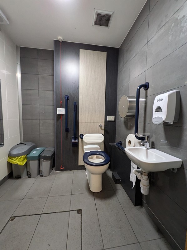 Image of accessible toilet, toilet seat and sink