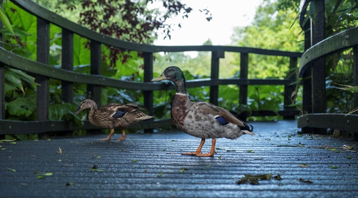 The Wolseley Centre