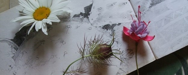 Drawing and painting plants and flowers article image
