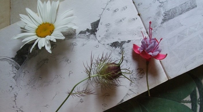 Drawing and painting plants and flowers