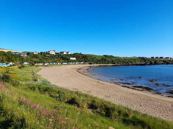 Coldingham Sands