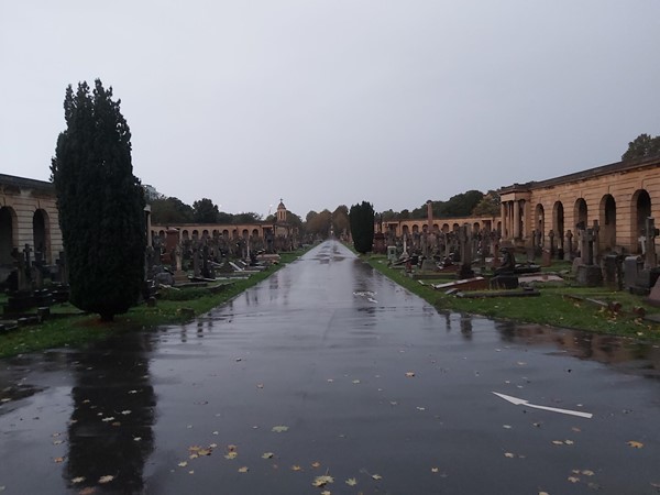The cemetery