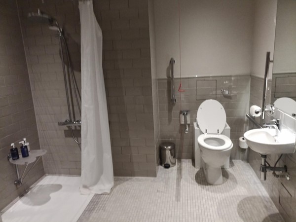 Wet room with shower, toilet, sink, grab rails and toiletries.