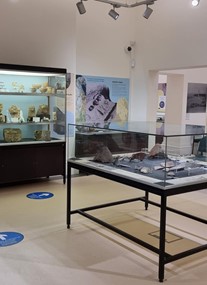 Garstang Museum of Archaeology