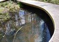 Picture of  a walkway by a pond