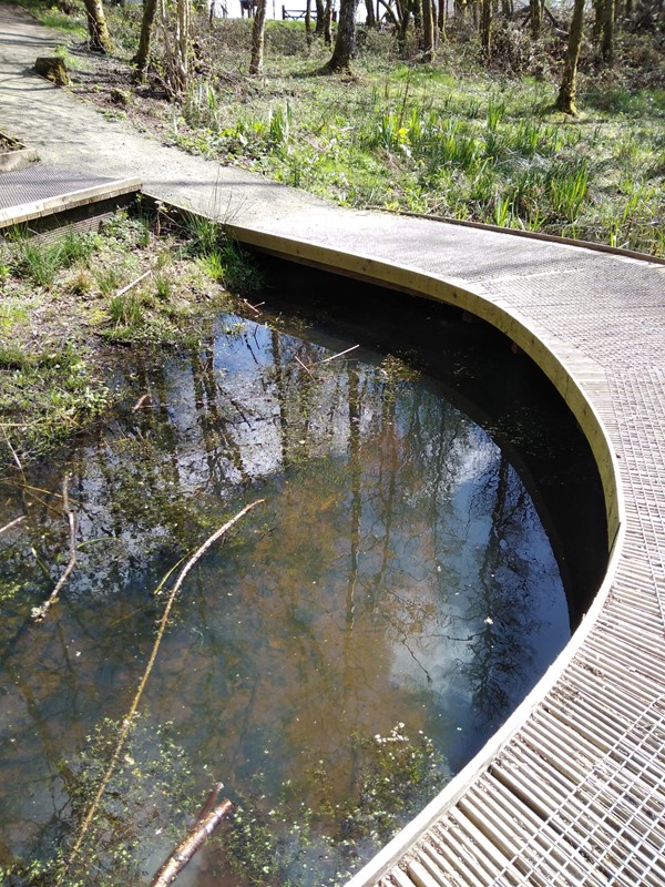 Picture of  a walkway by a pond