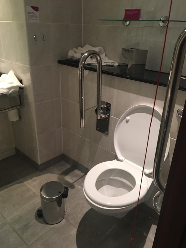 Toilet was fine- grab rails and pull cord