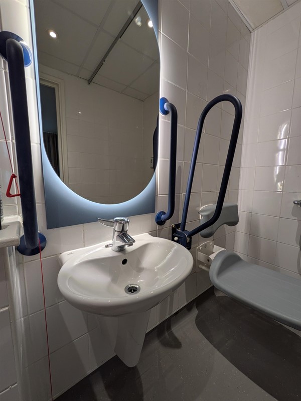 Image of shower, sink and mirror in the accessible toilet of a hotel room