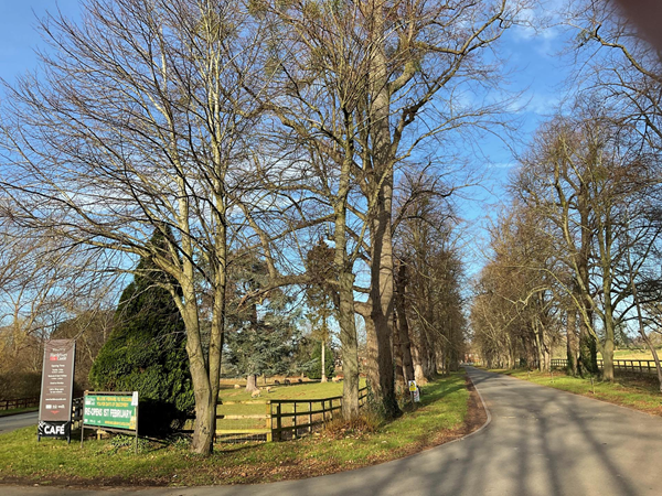 A pleasant winters drive lead us to Hartlebury castle