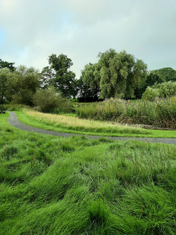 Lakeside path