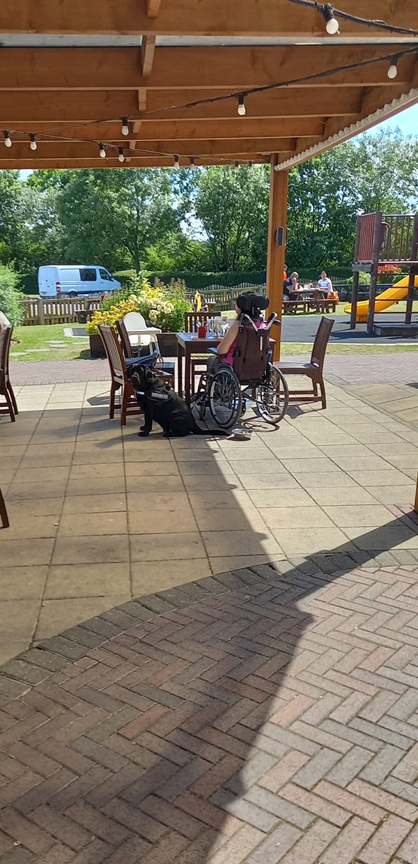 Shaded seating area. Wheelchair accessible tables.