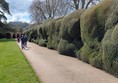 Path running besides cloud hedges