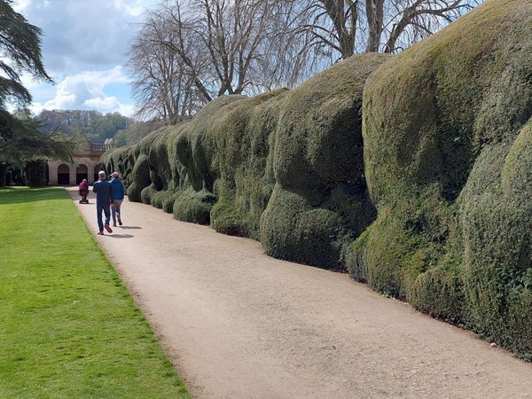 Path running besides cloud hedges