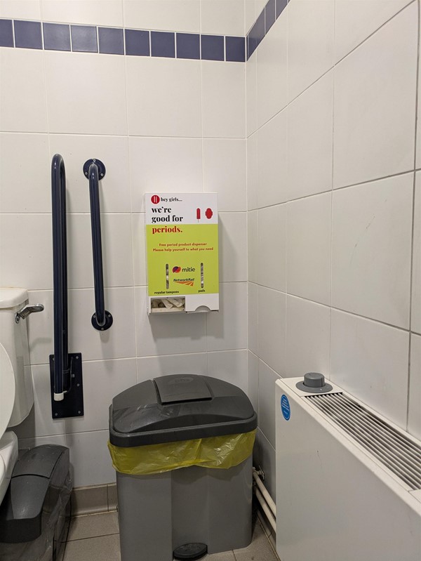 Image of  bin in accessible toilet transfer space