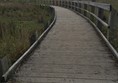 Picture of Brockholes Nature Reserve