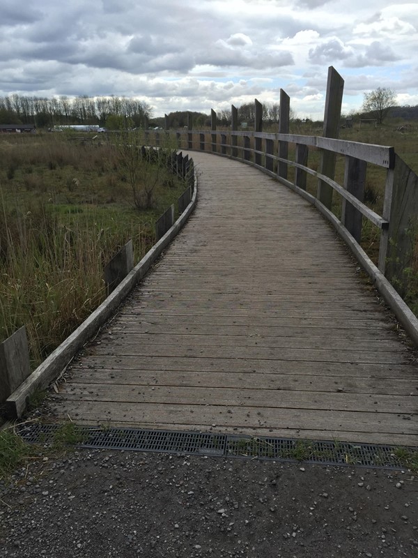 Picture of Brockholes Nature Reserve