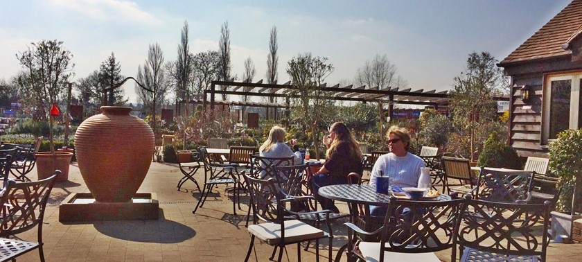 Newbridge Nurseries