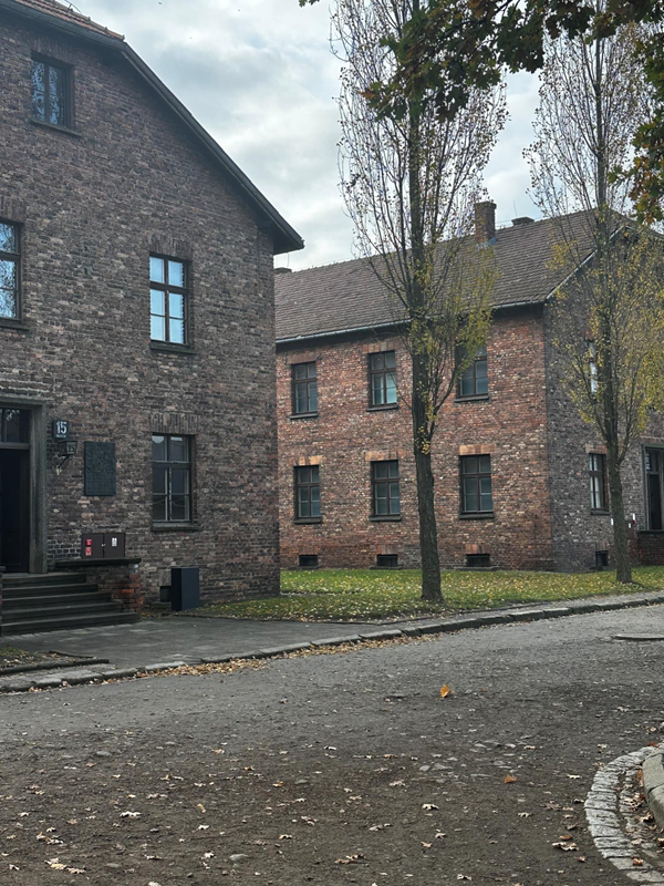 A view of a couple of the blocks in Ausichwitz I from the path outside